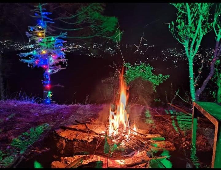 심라 Aagaman Woods 아파트 외부 사진